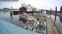 ./images/quadra/hbidock/20241025/hbidock20241025_084503M.jpg