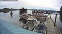 ./images/quadra/hbidock/20241025/hbidock20241025_115003M.jpg