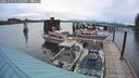./images/quadra/hbidock/20241025/hbidock20241025_175002M.jpg