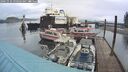 ./images/quadra/hbidock/20241026/hbidock20241026_090502M.jpg