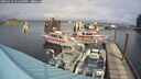 ./images/quadra/hbidock/20241027/hbidock20241027_131503M.jpg