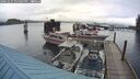 ./images/quadra/hbidock/20241027/hbidock20241027_155002M.jpg