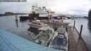 ./images/quadra/hbidock/20241027/hbidock20241027_165503M.jpg