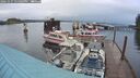 ./images/quadra/hbidock/20241027/hbidock20241027_174003M.jpg