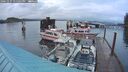./images/quadra/hbidock/20241027/hbidock20241027_175500M.jpg