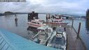 ./images/quadra/hbidock/20241027/hbidock20241027_175503M.jpg