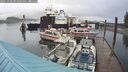 ./images/quadra/hbidock/20241028/hbidock20241028_091503M.jpg