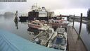 ./images/quadra/hbidock/20241028/hbidock20241028_110500M.jpg