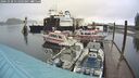 ./images/quadra/hbidock/20241028/hbidock20241028_111503M.jpg