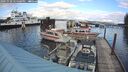 ./images/quadra/hbidock/20241028/hbidock20241028_145500M.jpg