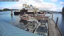 ./images/quadra/hbidock/20241028/hbidock20241028_152500M.jpg