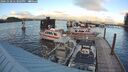 ./images/quadra/hbidock/20241028/hbidock20241028_173003M.jpg