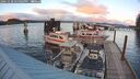 ./images/quadra/hbidock/20241028/hbidock20241028_175503M.jpg