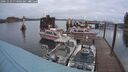 ./images/quadra/hbidock/20241029/hbidock20241029_074503M.jpg