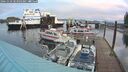 ./images/quadra/hbidock/20241029/hbidock20241029_083503M.jpg
