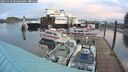 ./images/quadra/hbidock/20241029/hbidock20241029_084003M.jpg