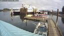./images/quadra/hbidock/20241029/hbidock20241029_105000M.jpg