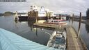 ./images/quadra/hbidock/20241029/hbidock20241029_105003M.jpg