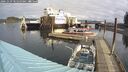./images/quadra/hbidock/20241029/hbidock20241029_105500M.jpg