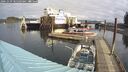 ./images/quadra/hbidock/20241029/hbidock20241029_105503M.jpg