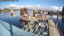 ./images/quadra/hbidock/20241029/hbidock20241029_121502M.jpg