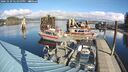 ./images/quadra/hbidock/20241029/hbidock20241029_122000M.jpg