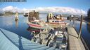 ./images/quadra/hbidock/20241029/hbidock20241029_123503M.jpg