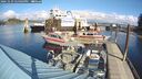 ./images/quadra/hbidock/20241029/hbidock20241029_124003M.jpg