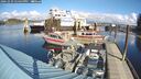 ./images/quadra/hbidock/20241029/hbidock20241029_124500M.jpg
