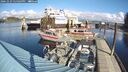 ./images/quadra/hbidock/20241029/hbidock20241029_124503M.jpg