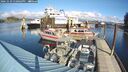 ./images/quadra/hbidock/20241029/hbidock20241029_130003M.jpg