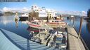 ./images/quadra/hbidock/20241029/hbidock20241029_131003M.jpg
