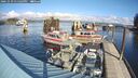 ./images/quadra/hbidock/20241029/hbidock20241029_131503M.jpg