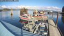 ./images/quadra/hbidock/20241029/hbidock20241029_132003M.jpg