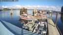 ./images/quadra/hbidock/20241029/hbidock20241029_132500M.jpg