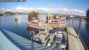 ./images/quadra/hbidock/20241029/hbidock20241029_133003M.jpg