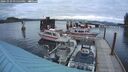 ./images/quadra/hbidock/20241029/hbidock20241029_175500M.jpg