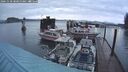 ./images/quadra/hbidock/20241030/hbidock20241030_081000M.jpg