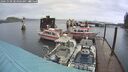 ./images/quadra/hbidock/20241030/hbidock20241030_084003M.jpg