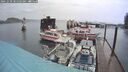 ./images/quadra/hbidock/20241030/hbidock20241030_085503M.jpg