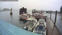 ./images/quadra/hbidock/20241030/hbidock20241030_105004M.jpg