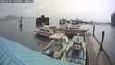 ./images/quadra/hbidock/20241030/hbidock20241030_153500M.jpg