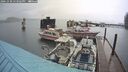 ./images/quadra/hbidock/20241030/hbidock20241030_153502M.jpg
