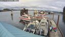 ./images/quadra/hbidock/20241031/hbidock20241031_144003M.jpg