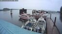 ./images/quadra/hbidock/20241101/hbidock20241101_081503M.jpg