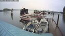 ./images/quadra/hbidock/20241101/hbidock20241101_143003M.jpg