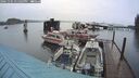 ./images/quadra/hbidock/20241101/hbidock20241101_171503M.jpg
