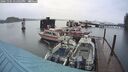 ./images/quadra/hbidock/20241101/hbidock20241101_172504M.jpg