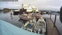 ./images/quadra/hbidock/20241102/hbidock20241102_105503M.jpg