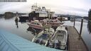 ./images/quadra/hbidock/20241102/hbidock20241102_125004M.jpg